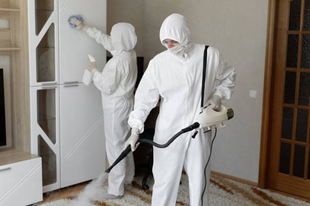 Best Residential Mold Removal  in Sheridan, WY