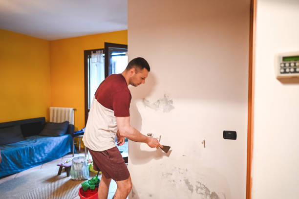 Best Toxic Mold Removal  in Sheridan, WY
